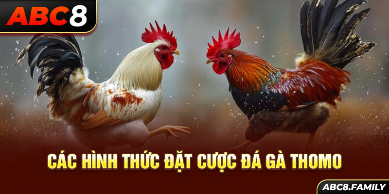 Các hình thức đặt cược đá gà thomo