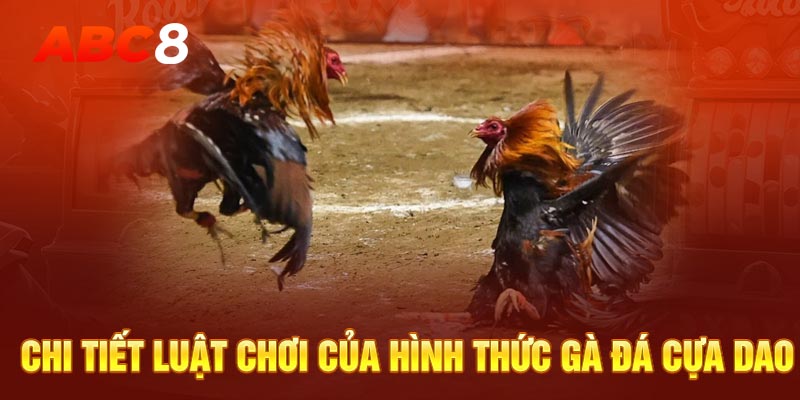 Chi tiết luật chơi của hình thức gà đá cựa dao