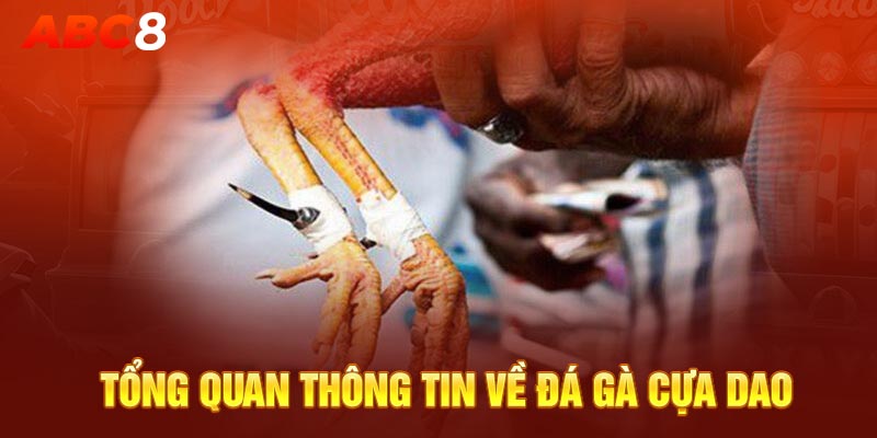 Tổng quan thông tin về đá gà cựa dao